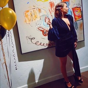 Bronx & Banco velvet dress- worn once!